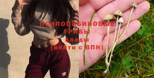 винт Сафоново
