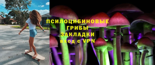 кокс Алексин