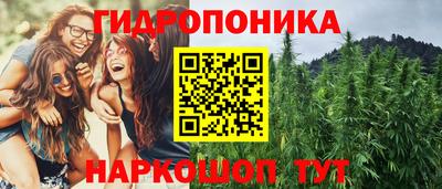 прущие грибы Ликино-Дулёво