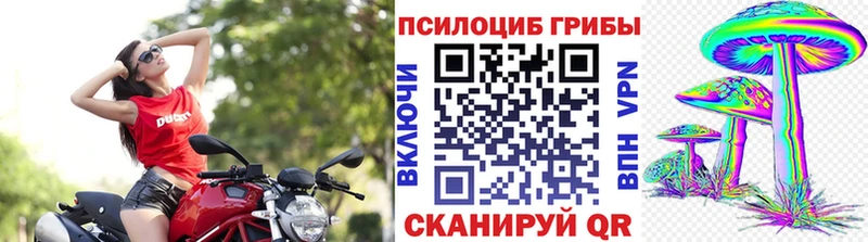 Псилоцибиновые грибы мухоморы  Биробиджан 