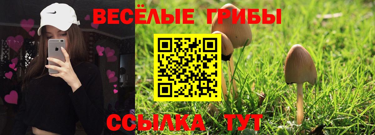 купить наркотик  Вход с VPN  Биробиджан  Псилоцибиновые грибы MAGIC MUSHROOMS 